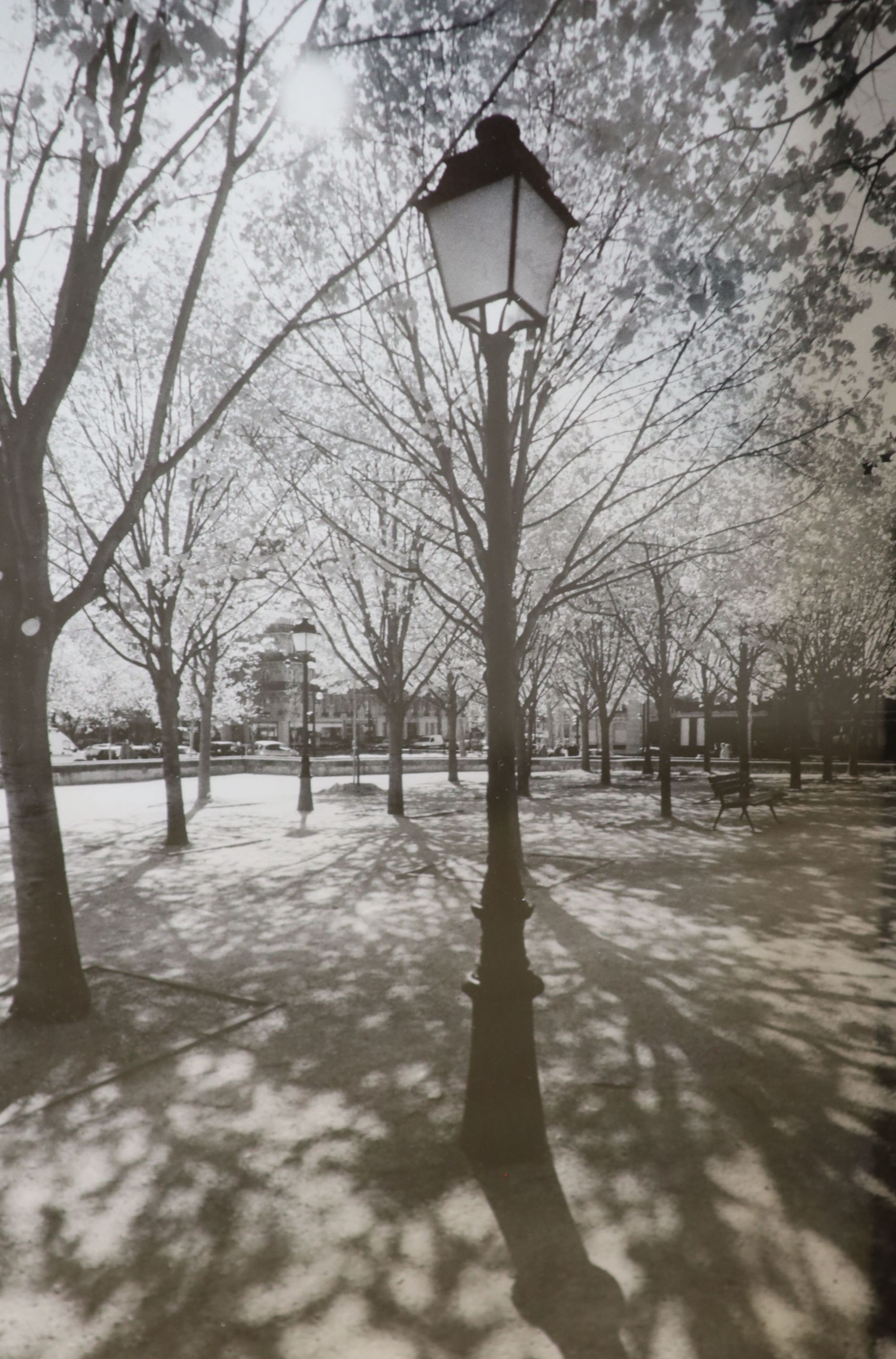 Herve Dufoort, five black and white photographs, City views, Parkland and Mosque, largest 31 x 21cm